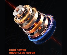 Mōta Whai Hua 2000W3
