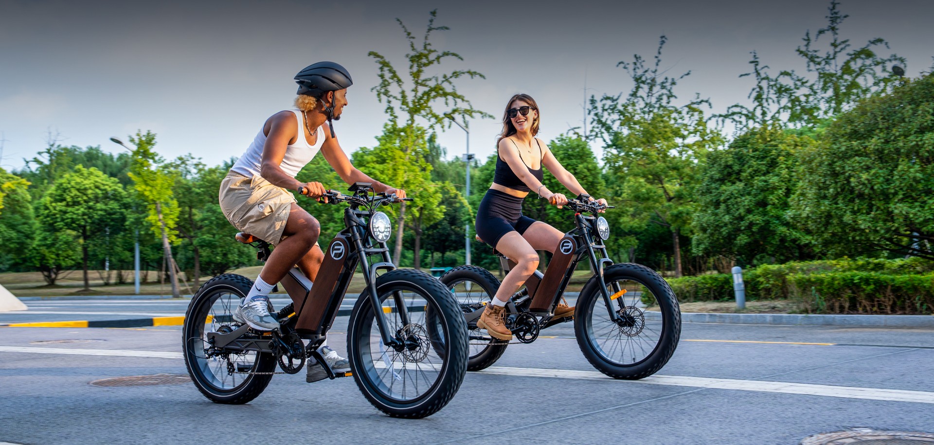 Fat Tire Electric Bike